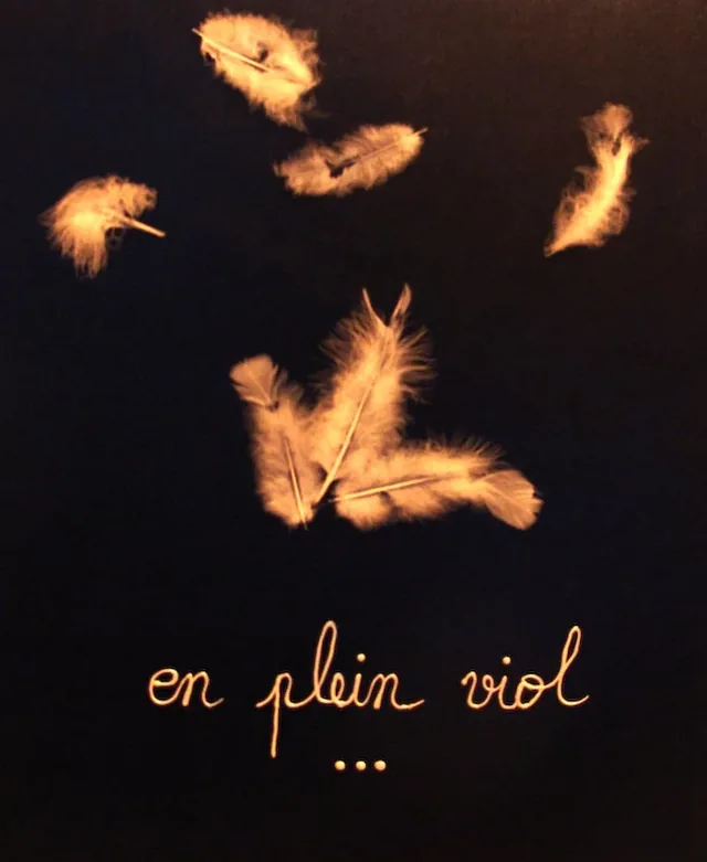 Reproduction de « En plein viol », Layticia Audibert
