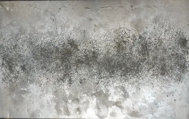 Reproduction de « Sois humble car tu es fait de terre. Sois noble car tu es fait d'étoiles. », Layticia Audibert