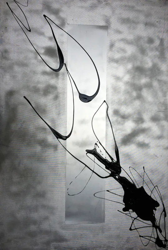 Œuvre « Black birds - la langue des oiseaux », Layticia Audibert
